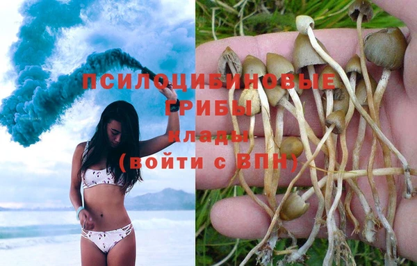 гидропоника Няндома