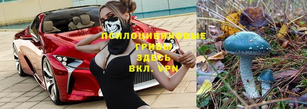 прущая мука Нягань