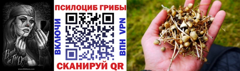 Псилоцибиновые грибы GOLDEN TEACHER  купить закладку  Североморск 