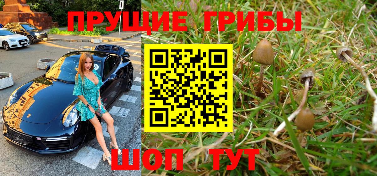 Галлюциногенные грибы GOLDEN TEACHER Североморск